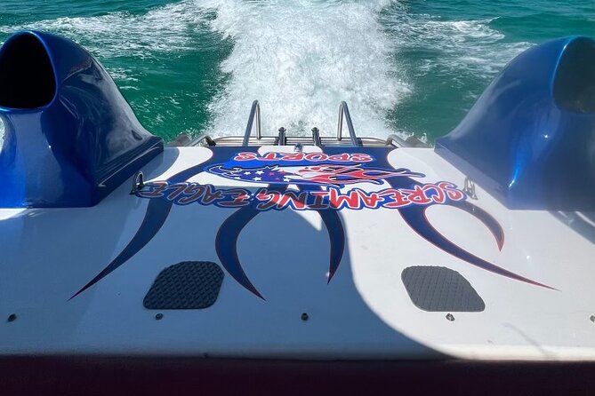 Private Dolphin Spotting Thrill Ride in Destin - The value of $73.83 per person
