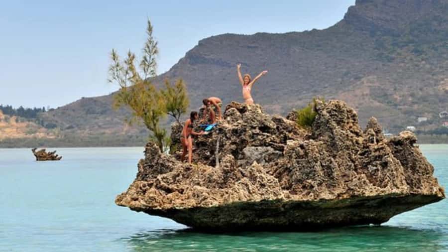 Private Dolphin Swim/Snorkeling & Lunch on Benitiers island - Dolphins first, then a full day on the water