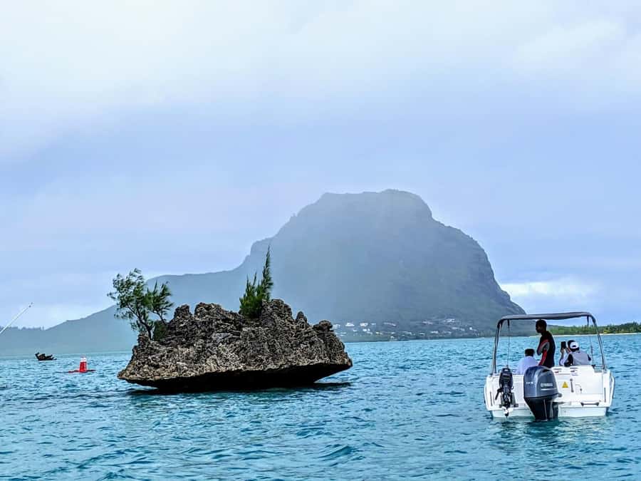 Private Dolphin Swim/Snorkeling & Lunch on Benitiers island - What private really means here