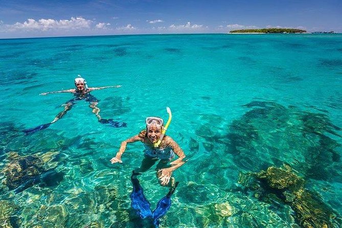 Private Dolphin Tour and Snorkeling at Mnemba Island reef - Transport, timing, and communication