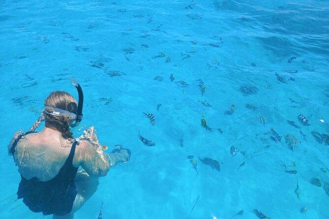 Private Dolphin Tour and Snorkeling at Mnemba Island reef - What to bring for a better morning