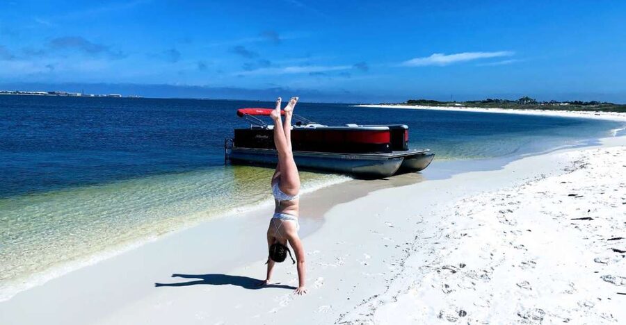 Private Dolphin Tour with Secluded Beach/Snorkel Stop - Practical tips for a better three hours