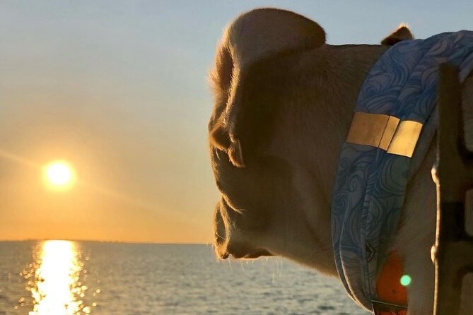 Private Dolphin Watch and Sunset Boat Tour Port Aransas Texas - What makes this sunset boat ride worth considering