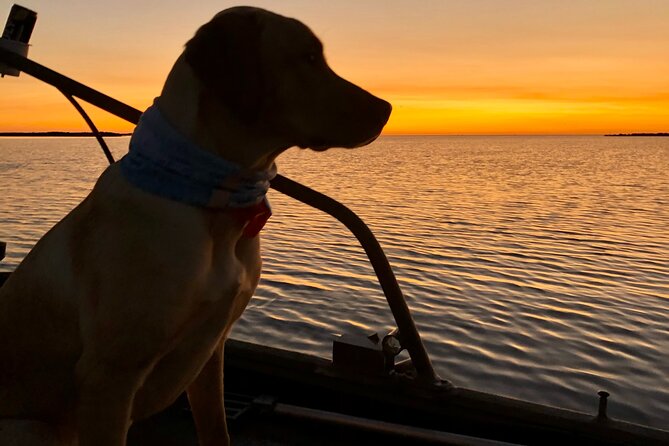 Private Dolphin Watch and Sunset Boat Tour Port Aransas Texas - Meeting Captain Chad at 900 Tarpon Street