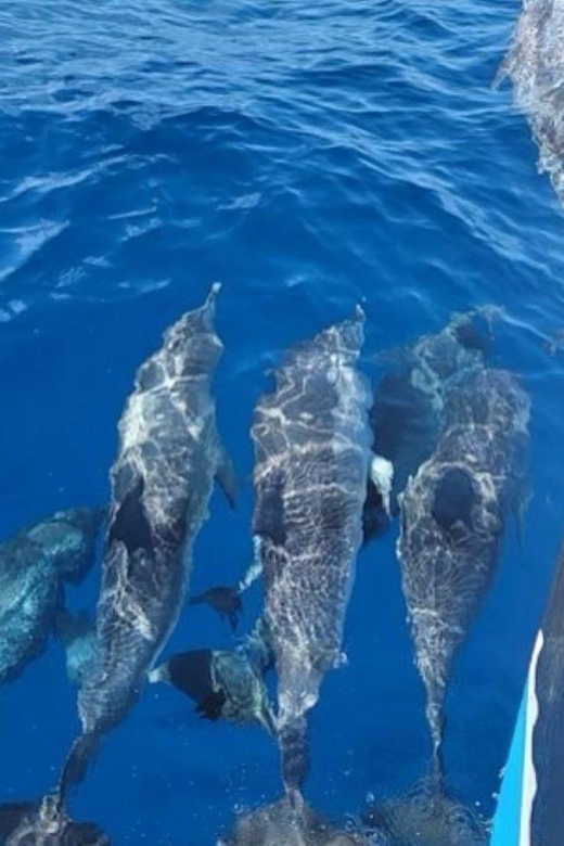 Private Dolphin Watch Boat Tour Port Aransas Texas - Is one hour enough?