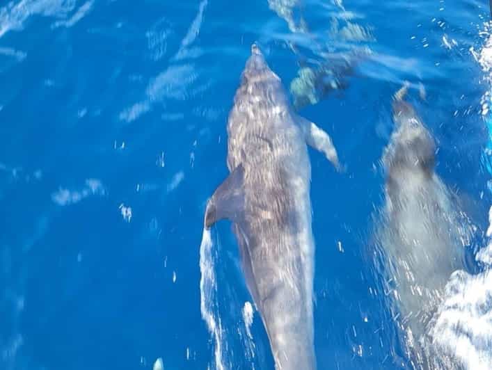 Private Dolphin Watch Boat Tour Port Aransas Texas - Meeting Captain Chad behind Fisherman’s Wharf