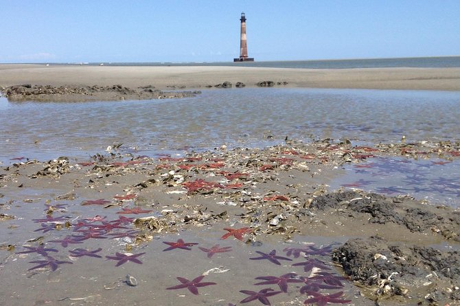 Private Dolphin Watch, Lighthouse and Ecological Boat Tours - Why the Private Boat Matters