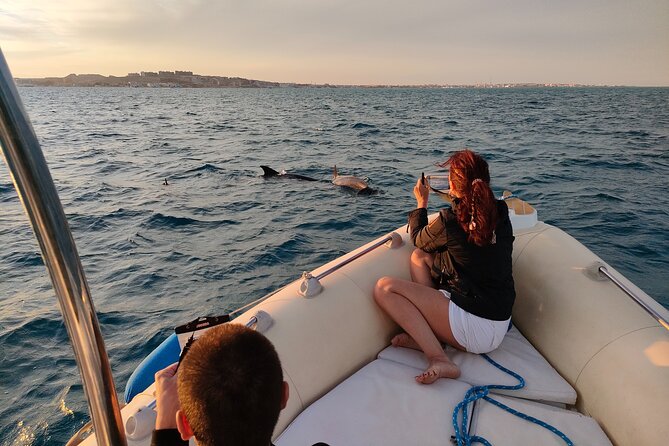 Private Dolphin Watching And Snorkeling Tour - Key points to know before you book