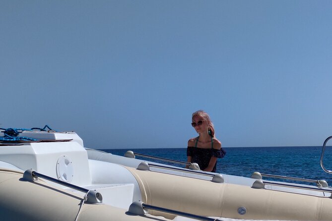 Private Dolphin Watching And Snorkeling Tour - What the private format changes