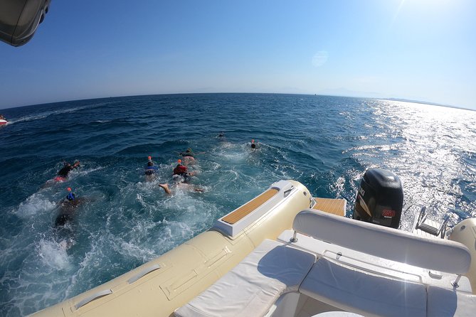 Private Dolphin Watching And Snorkeling Tour - What to bring and how to prepare