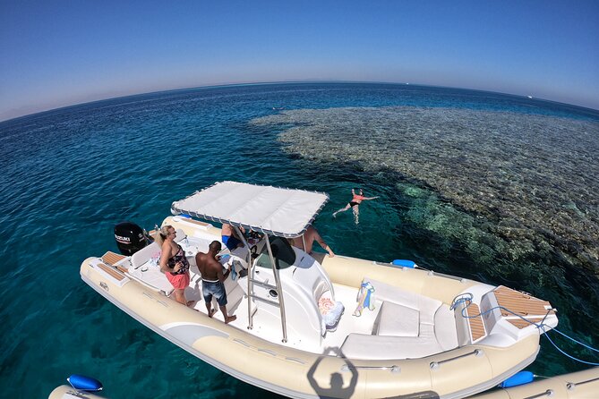 Private Dolphin Watching And Snorkeling Tour - Two snorkeling stops on the Red Sea