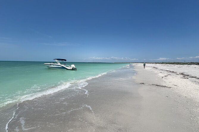 Private Dolphin Watching Beach Day Getaway - Dolphins first, then a slow Sanibel morning