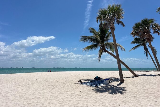 Private Dolphin Watching Beach Day Getaway - Beach gear, shade, and what to bring