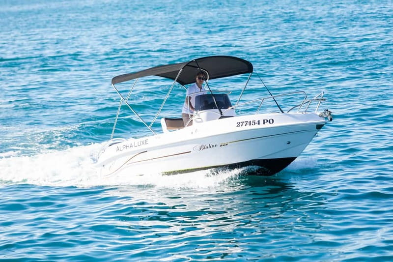Private Family Dolphin Tour in Poreč - The Poreč and Vrsar coast from the water