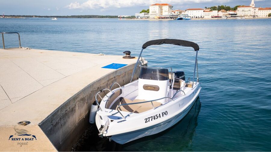 Private Family Dolphin Tour in Poreč - Choosing morning or evening