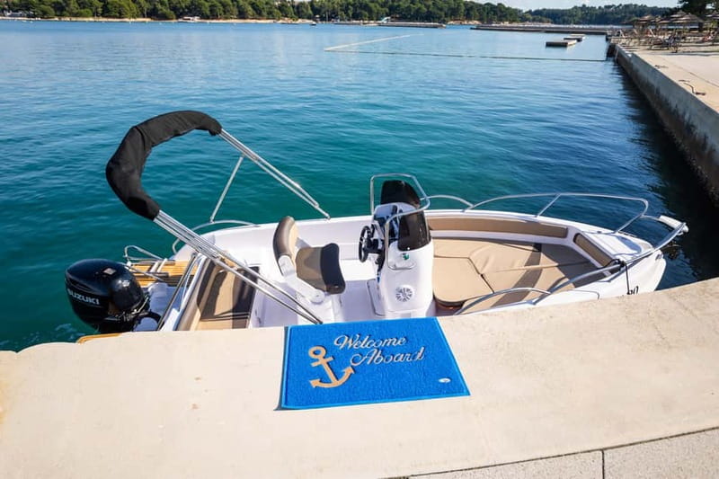 Private Family Dolphin Tour in Poreč - Who will get the most from this trip