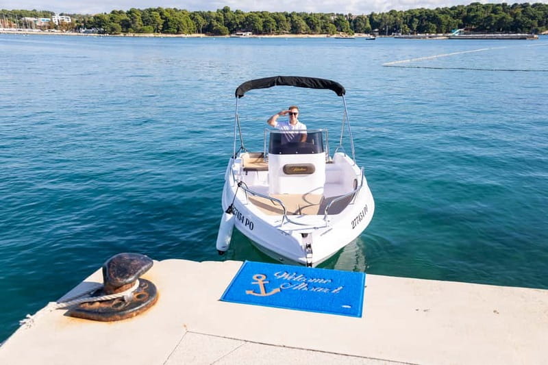 Private Family Dolphin Tour in Poreč - Looking for dolphins in their natural setting