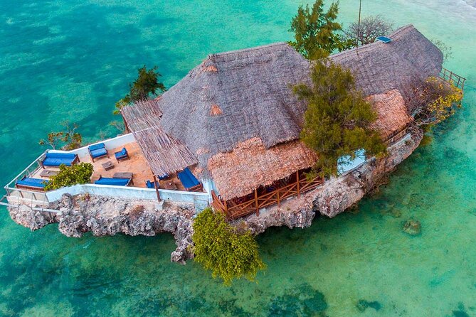 Private Full-Day: Dolphin & Monkey Jungle Adventure - What the private format is worth