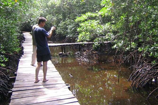 Private Full-Day: Dolphin & Monkey Jungle Adventure - Who will enjoy this day most