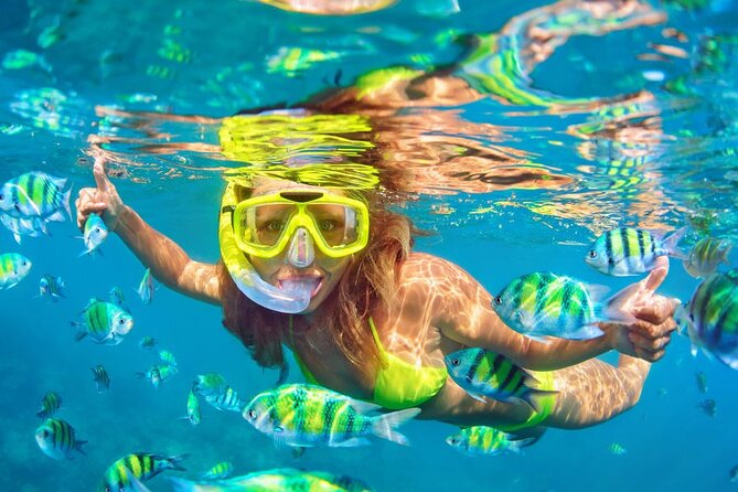 Private Full-Day Lovina Dolphin Watching and Snorkeling Boat Tour - Handara Gate, a quick photo stop with lunch nearby