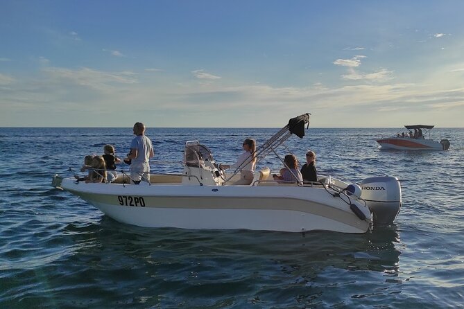 Private Guided Sunset Dolphin Watching in Adriatic Sea - The Search Comes Before the Sightings