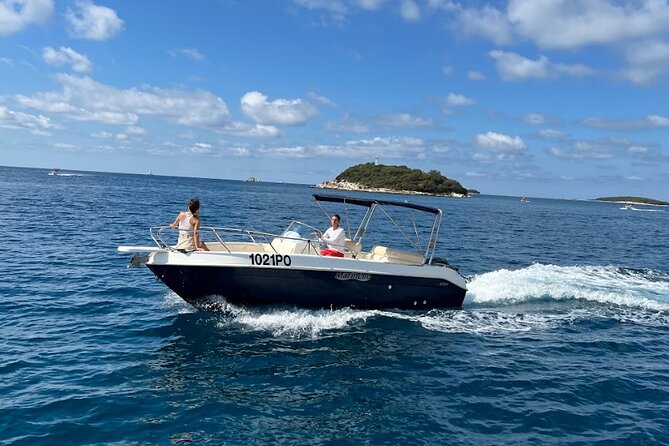 Private Guided Sunset Dolphin Watching in Adriatic Sea - What the Guides Add to the Ride