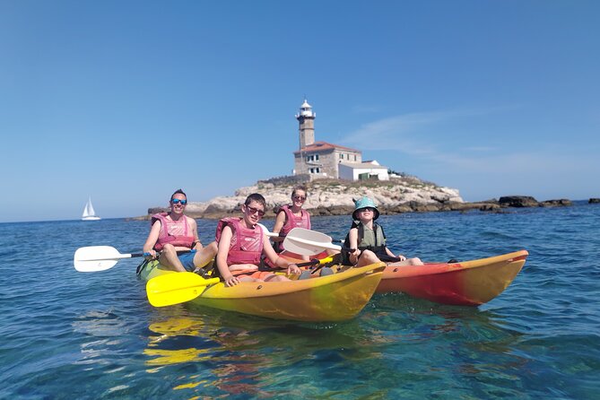 Private Guided Sunset Dolphin Watching in Adriatic Sea - Families, Dogs, and Who Will Enjoy It Most