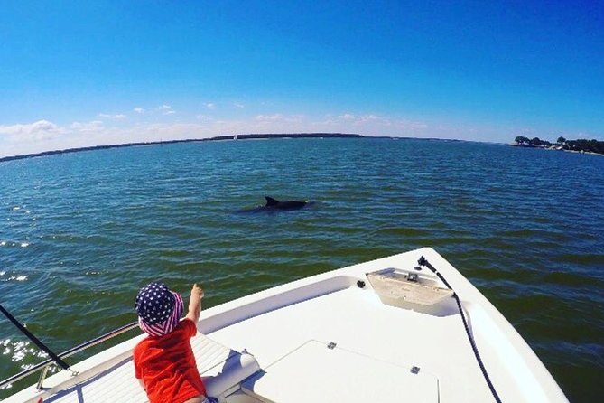 Private Hilton Head Dolphin Tour with Waterfront Dining Stop - Leaving Palmetto Bay Marina at 1:00 pm