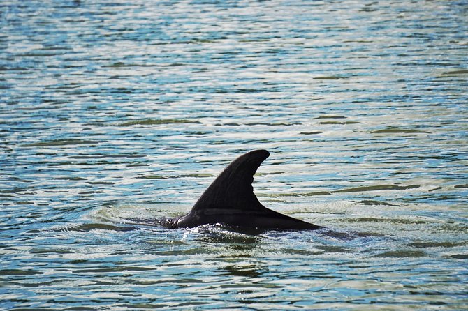 Private Hilton Head Dolphin Tour with Waterfront Dining Stop - Daufuskie Island, reached only by water