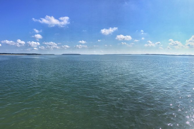Private Hilton Head Dolphin Tour with Waterfront Dining Stop - What $413.02 means for your group