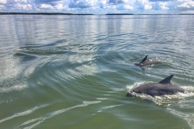 Private Hilton Head Dolphin Tour - Harbourtown Lighthouse gives you a clear photo stop