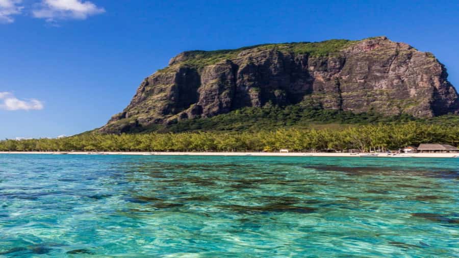 Private Île aux Bénitiers Boat: Dolphin Snorkeling & Lobster - Who will get the most from this outing