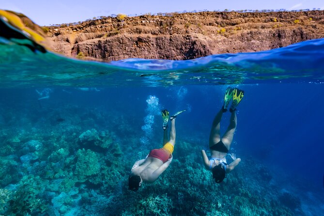 Private Kealakekua Bay Snorkel and Dolphin Watch - Why Kealakekua Bay is the star of the day