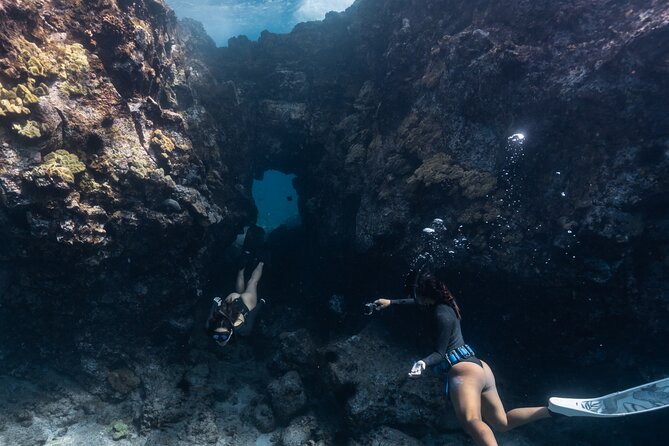 Private Kealakekua Bay Snorkel and Dolphin Watch - What your boat outing includes