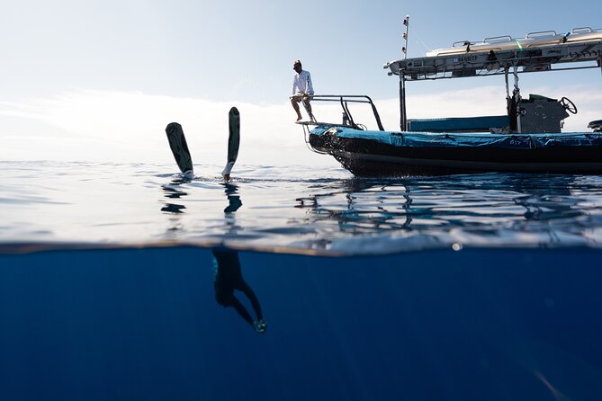 Private Kealakekua Bay Snorkel and Dolphin Watch - Snorkeling with first-timers and children