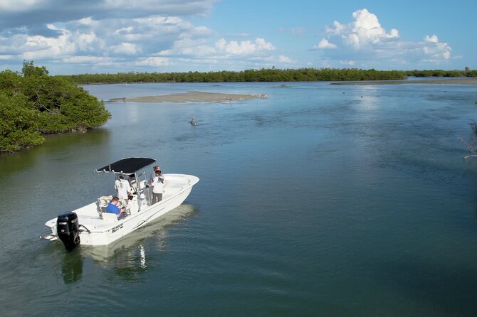 Private Marco Island / 10,000 Islands Sightseeing & Dolphin Tour - Key points to know before booking