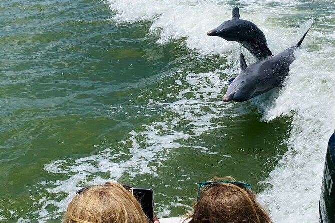 Private Marco Island / 10,000 Islands Sightseeing & Dolphin Tour - A short trip with a clear sense of place