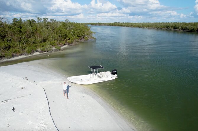 Private Marco Island / 10,000 Islands Sightseeing & Dolphin Tour - Dolphins, birds, and the pleasure of looking closely
