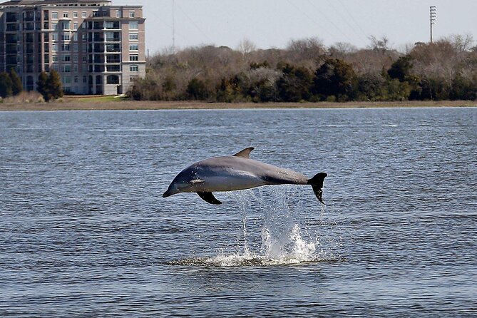 Private Morning Sail, Dolphin and History Tour on Mystique - Dolphins are possible, not promised