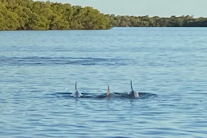 Private ONLY Dolphin Boat Tours - The private format and who gets the most from it