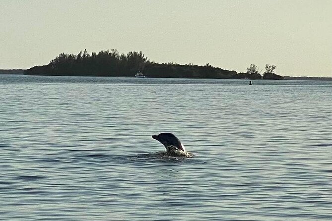 Private ONLY Dolphin Boat Tours - Sunset timing, photos, and weather