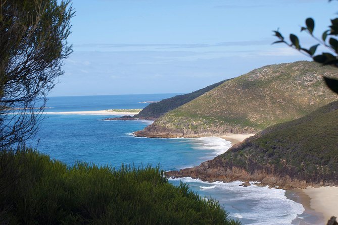 Private Port Stephens Day Trip from Sydney incl Dolphin Cruise - Stockton Sand Dunes offer the day’s most active choice