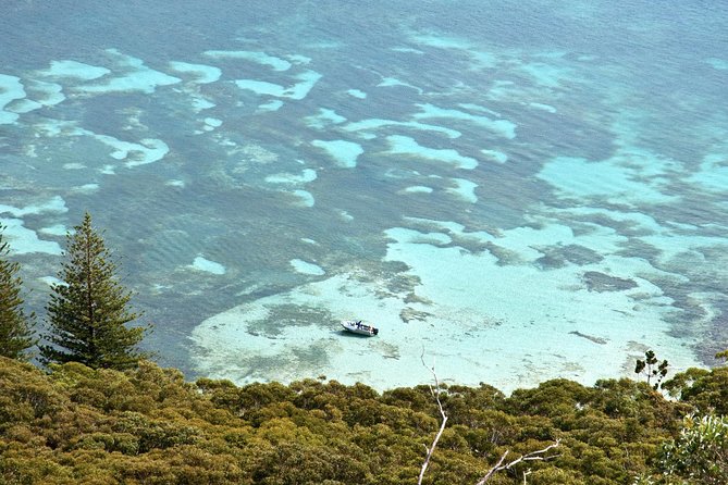 Private Port Stephens Day Trip from Sydney incl Dolphin Cruise - What $559.45 per person really buys