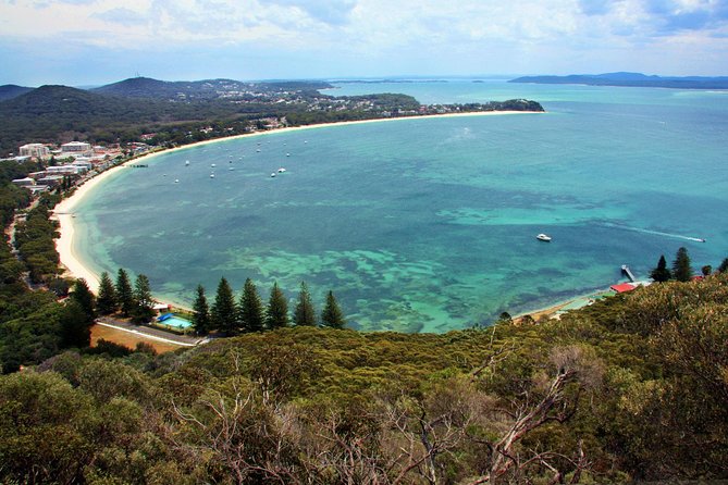 Private Port Stephens Day Trip from Sydney incl Dolphin Cruise - Who will enjoy this long coastal day