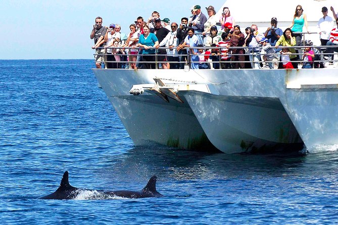 Private Port Stephens Day Trip from Sydney incl Dolphin Cruise - Gan Gan Lookout gives you the Port Stephens overview