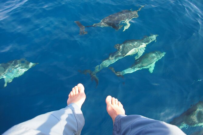 Private Sailing - dolphin Experience Estepona - drink & food - 4h - A route guided by wind, not a timetable
