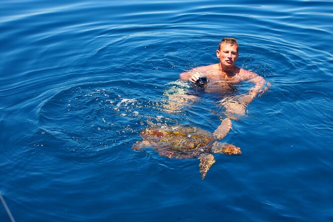 Private Sailing - dolphin Experience Estepona - drink & food - 4h - Lunch, cold drinks, and the simple onboard style
