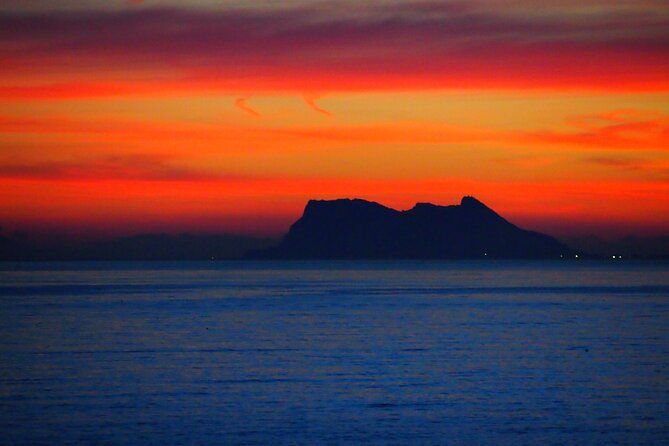 Private Sailing - dolphin Experience Estepona - drink & food - 4h - Price, group size, and value