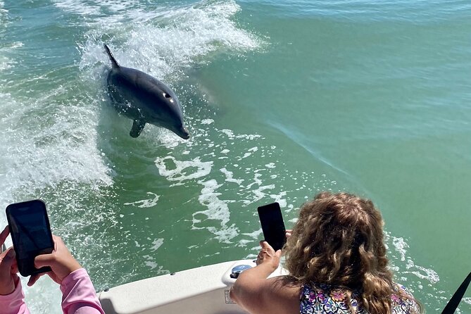 Private Shelling and Dolphin Excursion - A Private Cruise Through Ten Thousand Islands
