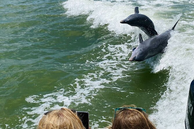 Private Shelling and Dolphin Excursion - What You Can See From the Boat